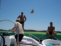 En sommerfugl kom tilfldigvis med p billedet