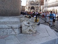 Markuspladsen, Venedig