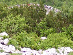 Udsigten fra Kehlstein i 1834 meters hjde
