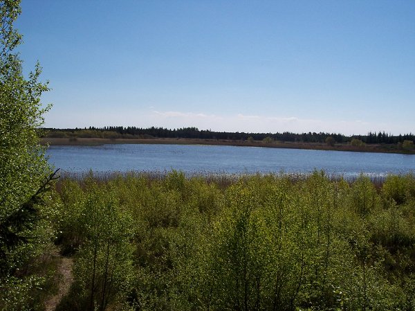 Råbjerg Sø, Skagen - 15. maj 2005