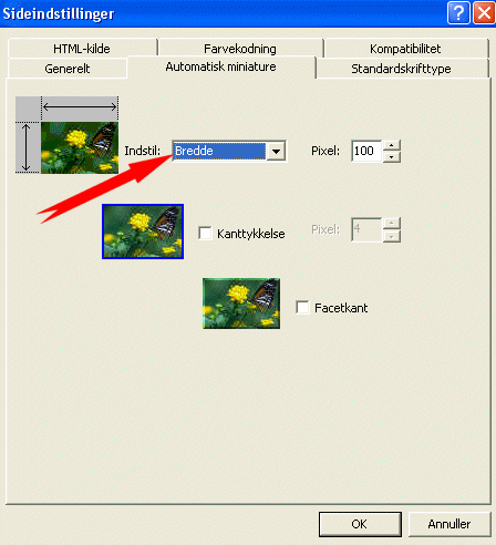 Sideindstillinger / Klik p fanen 'Automatisk miniature' og vlg bredde, kantstrrelse eller evt. facetkant