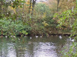 Vognsblparken, Esbjerg