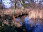 Vognsblparken, Esbjerg