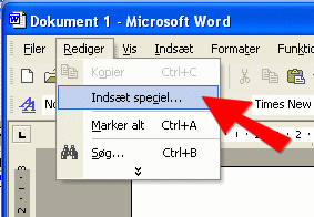 Rediger/Indst speciel