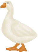 Gås